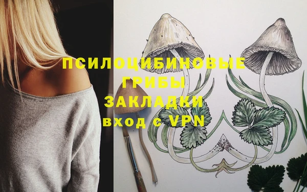 дживик Краснотурьинск