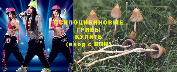 тгк Красноперекопск