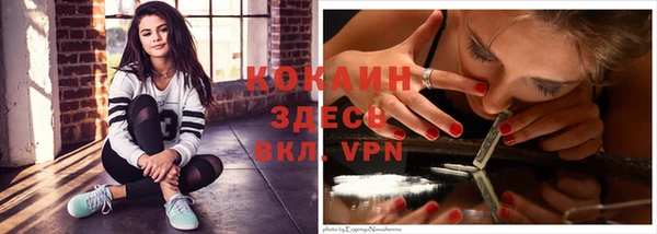бошки Коряжма