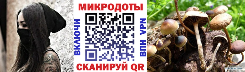 Купить закладки  Бронницы  Псилоцибиновые грибы Psilocybine cubensis 